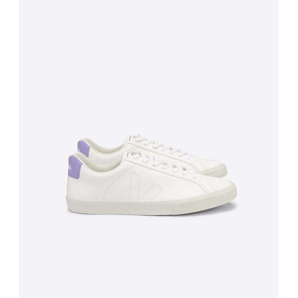 Women\'s Veja ESPLAR CHROMEFREE Sneakers White/Purple | ZA 618LIS